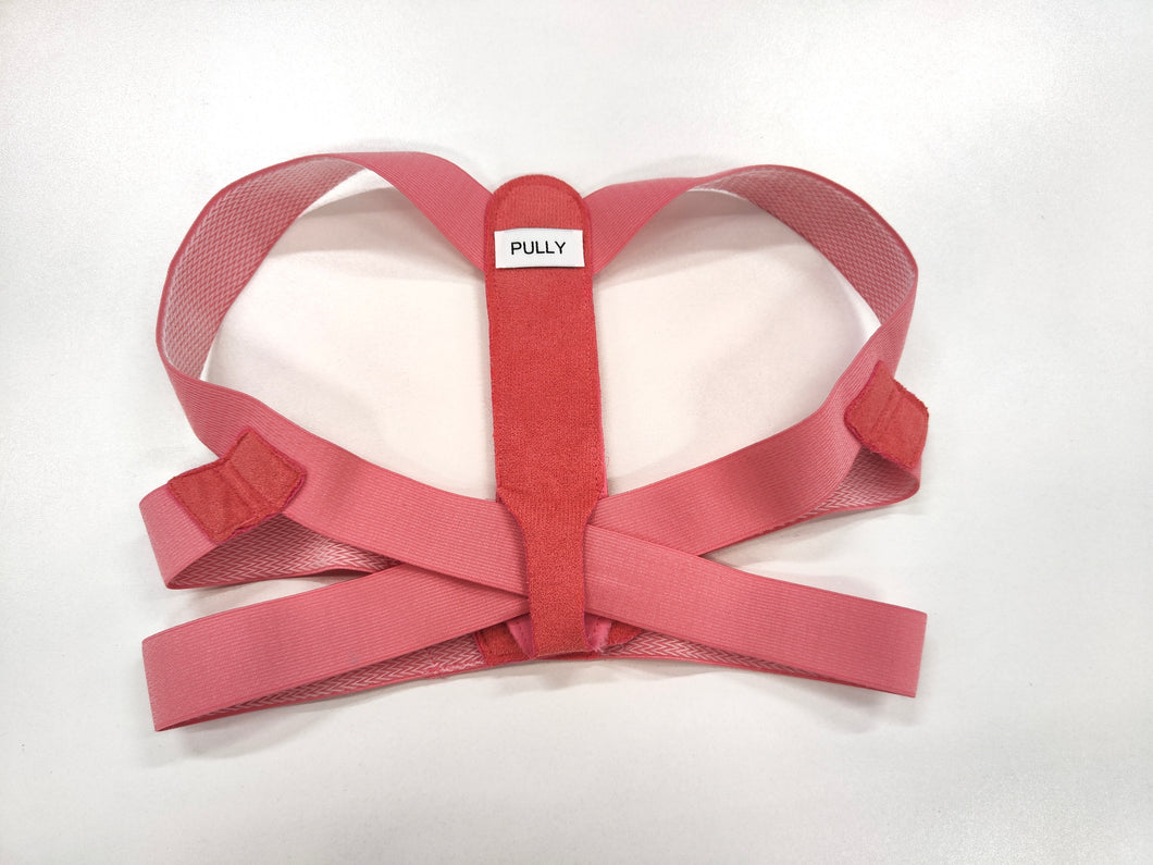 Pully Portable Posture Corrector Strap – Lightweight & Adjustable